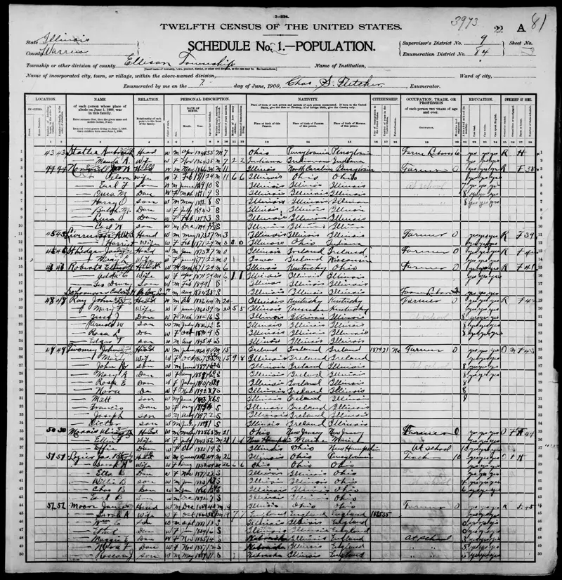 The 1900 US Census schedule for an Illinois county, a ruled sheet of handwritten entries