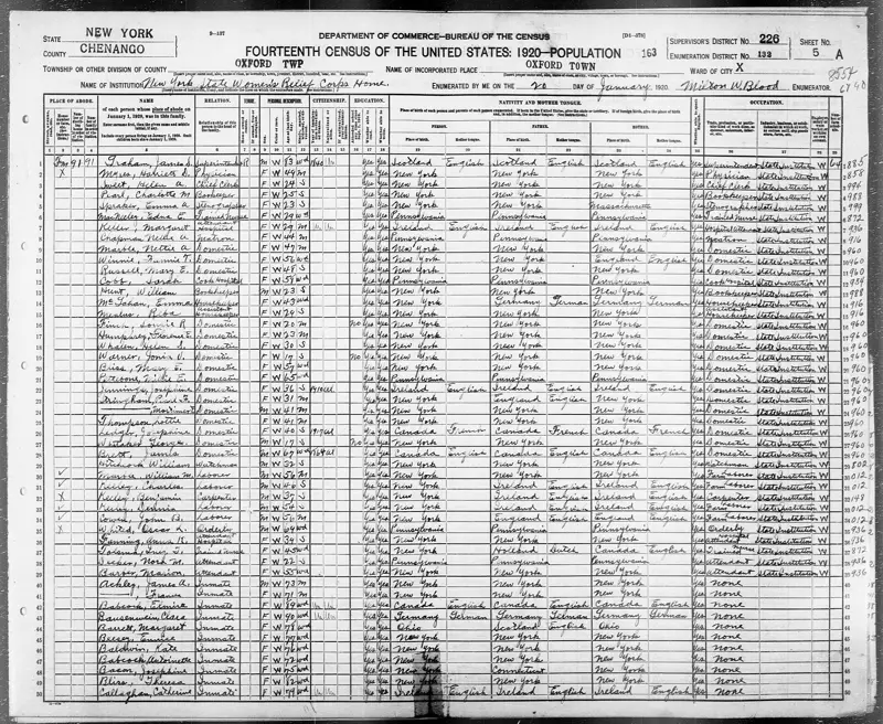A page of the 1920 US Census population schedule, filled in by hand with names, ages and birthplaces